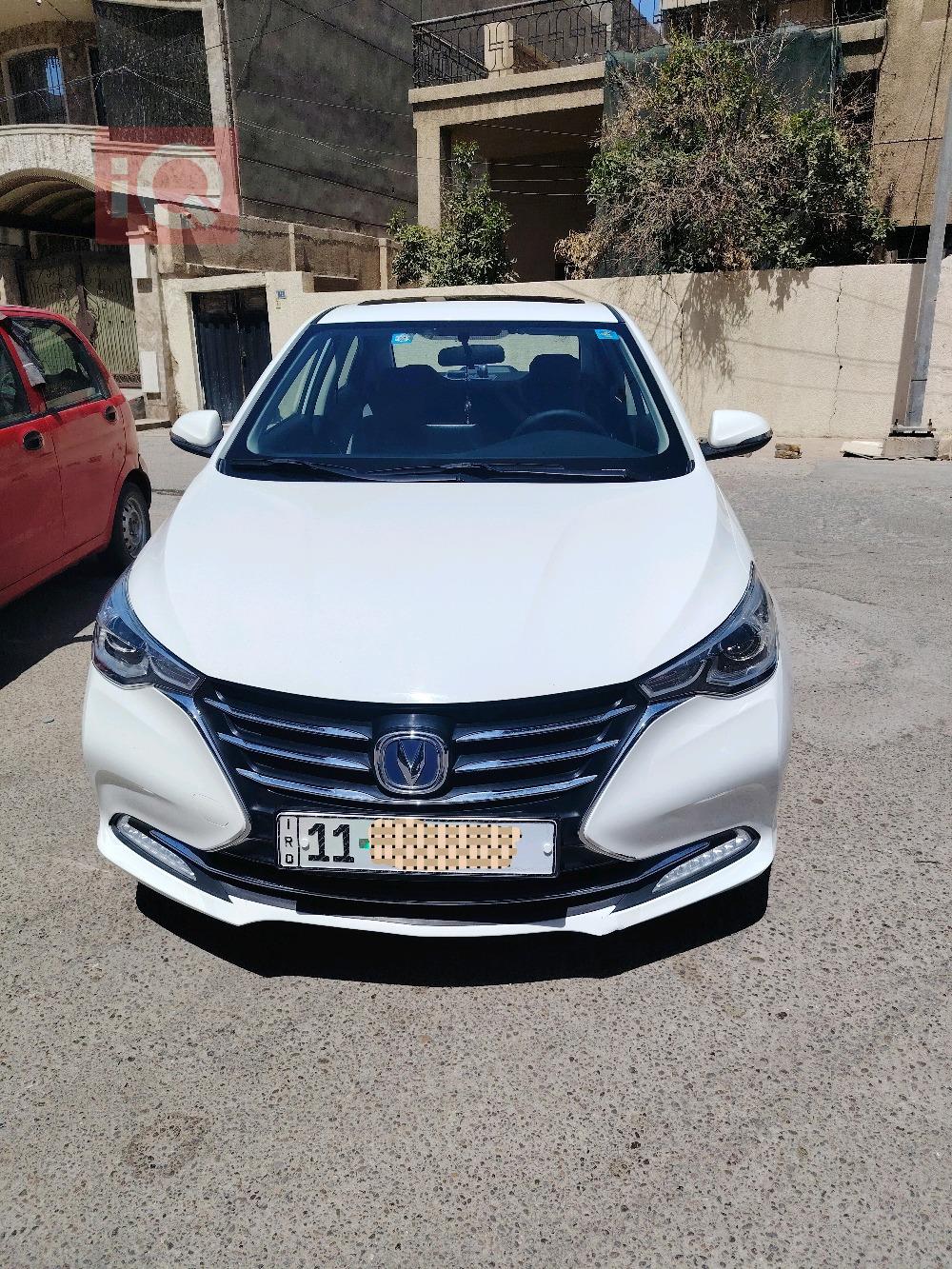 شانجان السفن